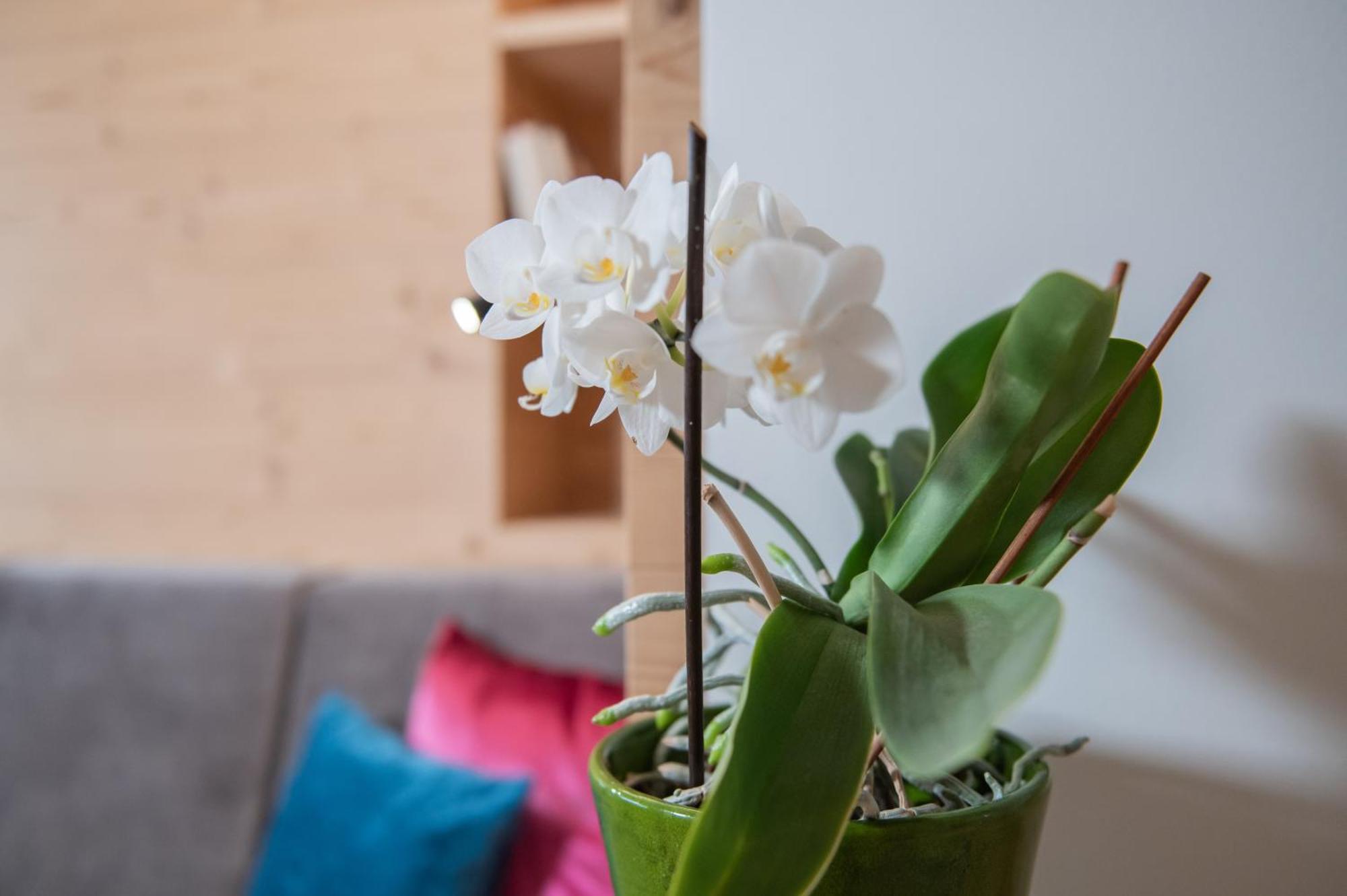 Apartments Corcela San Vigilio Di Marebbe Dış mekan fotoğraf